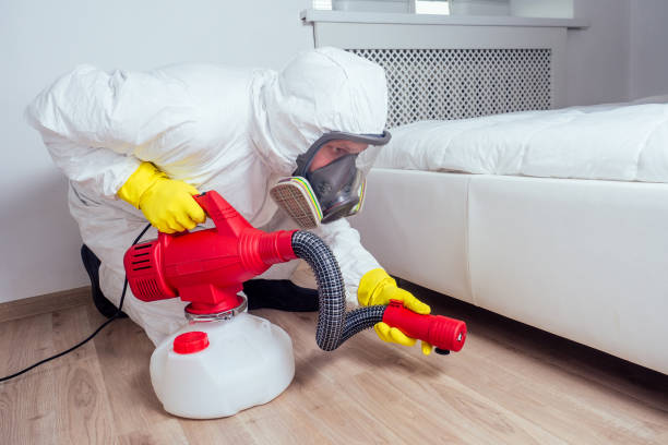 Best Residential Pest Control  in Cedar Creek, TX